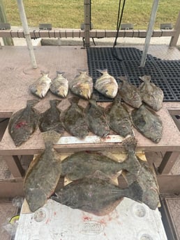 Flounder, Sheepshead Fishing in Galveston, Texas