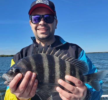 Sheepshead fishing in New Smyrna Beach, Florida