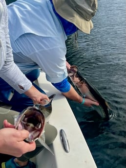 Fishing in Miami Beach, Florida