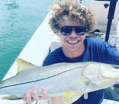 Snook Fishing in Sarasota, Florida