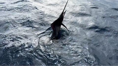 Fishing in Riviera Beach, Florida