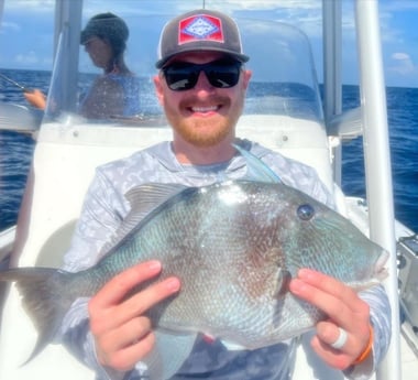 Triggerfish fishing in Panama City, Florida