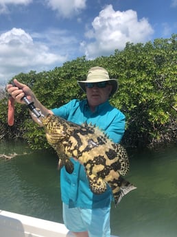 Black Grouper fishing in Key West, Florida