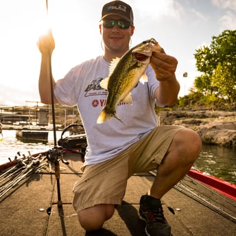 Largemouth Bass fishing in Austin, Texas