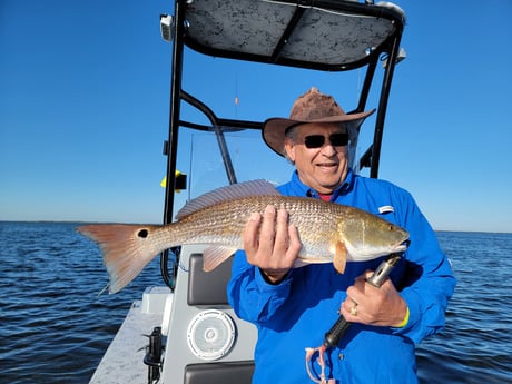 Redfish Fishing in South Padre Island, Texas