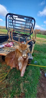 Whitetail Deer Fishing in Orange Beach, Alabama