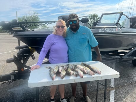 Ladyfish fishing in 