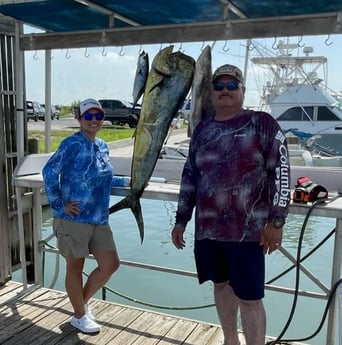 Cobia, Little Tunny / False Albacore, Mahi Mahi / Dorado fishing in South Padre Island, Texas