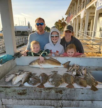 Black Drum, Flounder, Redfish, Speckled Trout / Spotted Seatrout Fishing in Galveston, Texas