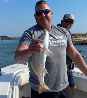 Redfish fishing in Port O&#039;Connor, Texas