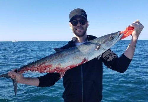 Kingfish Fishing in Clearwater, Florida