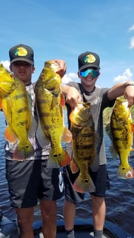 Peacock Bass fishing in Fort Lauderdale, Florida