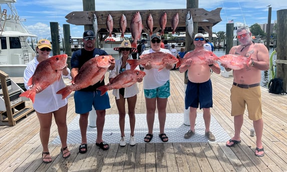 False Albacore, Kingfish, Red Snapper Fishing in Orange Beach, Alabama