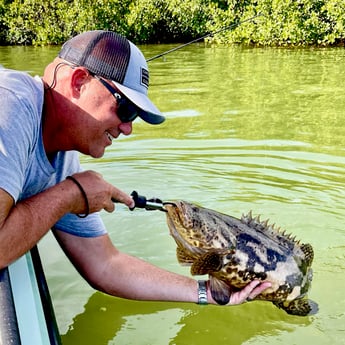 Goliath Grouper Fishing in Islamorada, Florida