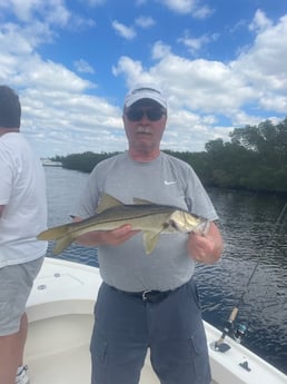 Snook Fishing in Tampa, Florida