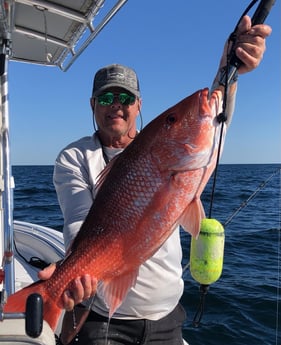 Red Snapper fishing in Jacksonville, Florida