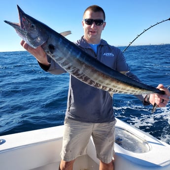 Wahoo fishing in Pompano Beach, Florida