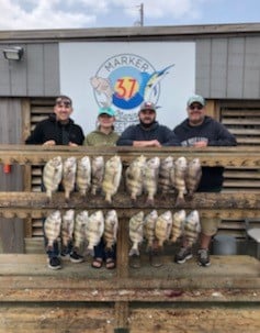 Sheepshead fishing in Corpus Christi, Texas