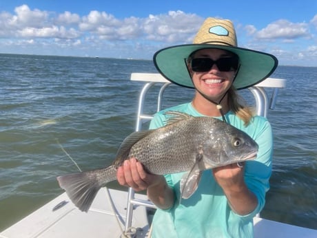 Black Drum Fishing in Corpus Christi, Texas