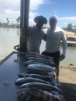 Redfish, Sheepshead, Speckled Trout / Spotted Seatrout fishing in Galveston, Texas