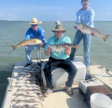 Black Drum, Redfish fishing in South Padre Island, Texas