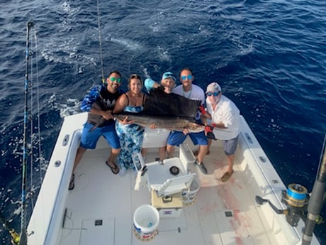 Sailfish Fishing in Palm Beach, Florida