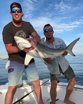 Blacktip Shark Fishing in Galveston, Texas