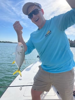 Jack Crevalle Fishing in Sarasota, Florida