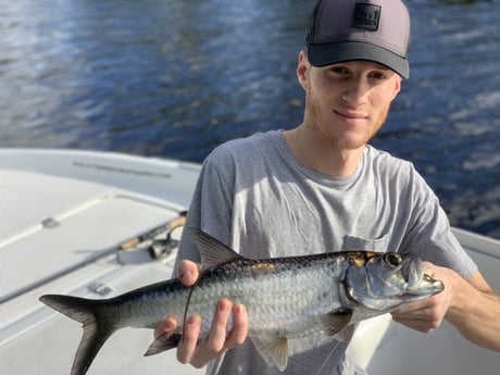 Tarpon Fishing in Jupiter, Florida