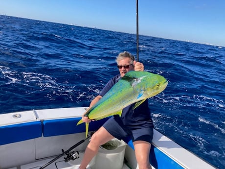 Mahi Mahi / Dorado fishing in West Palm Beach, Florida