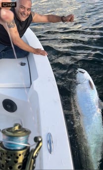 Tarpon fishing in Miami Beach, Florida