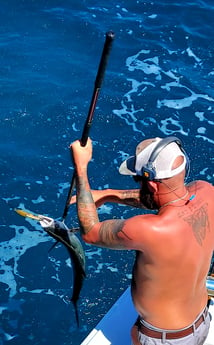 Tilefish fishing in Galveston, Texas