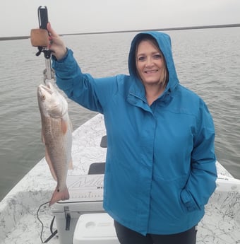 Redfish fishing in Port O&#039;Connor, Texas