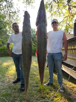 Fishing in Houston, Texas