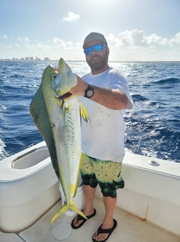 Mahi Mahi / Dorado fishing in Pompano Beach, Florida