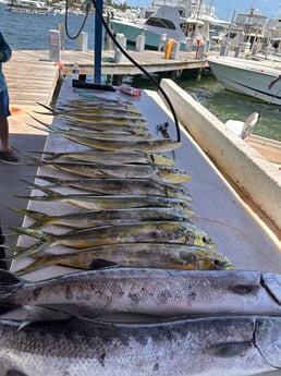 Fishing in Key Biscayne, Florida