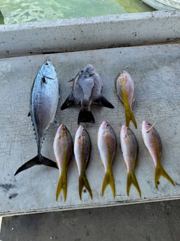 Fishing in Miami, Florida