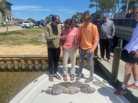 Sheepshead fishing in Destin, Florida