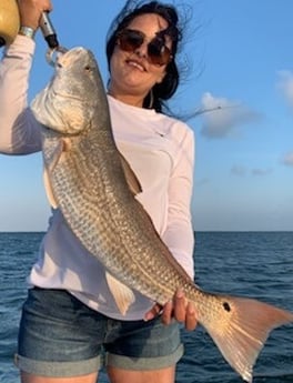 Redfish fishing in South Padre Island, Texas