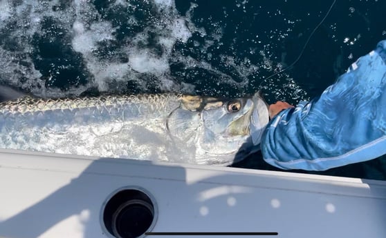 Tarpon fishing in Santa Rosa Beach, Florida