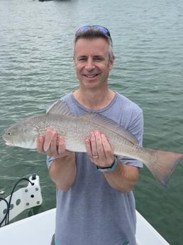 Redfish Fishing in Tampa, Florida