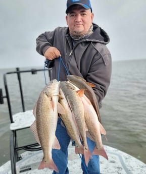 Redfish Fishing in South Padre Island, Texas