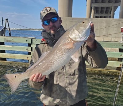 Redfish fishing in Fort Walton Beach, Florida