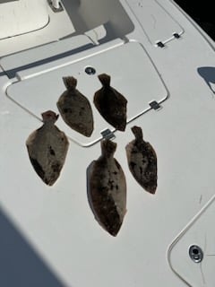 Flounder Fishing in Panama City, Florida