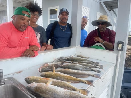 Black Drum, Redfish, Speckled Trout Fishing in Galveston, Texas