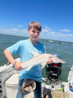 Bonnethead Shark fishing in Mount Pleasant, South Carolina