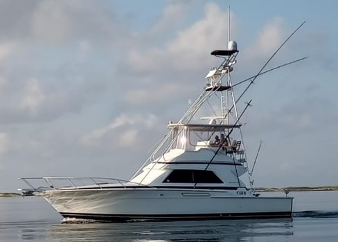 Boat photo for Extended Big Game Fishing Trip