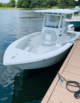 Boat photo for Offshore Fishing - 24ft Sea Pro