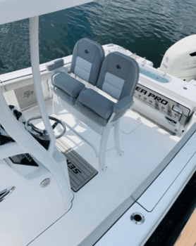 Boat photo for Offshore Fishing - 24ft Sea Pro