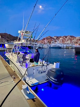 Boat photo for Cabo Trophy Hunt - 28’ Cuddy Cabin